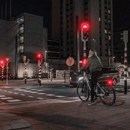 Takavalo AXA JUNO DYNAMO STEADY/80MM