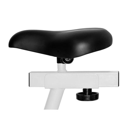 Hybriditreeni CHRISTOPEIIT CT 4