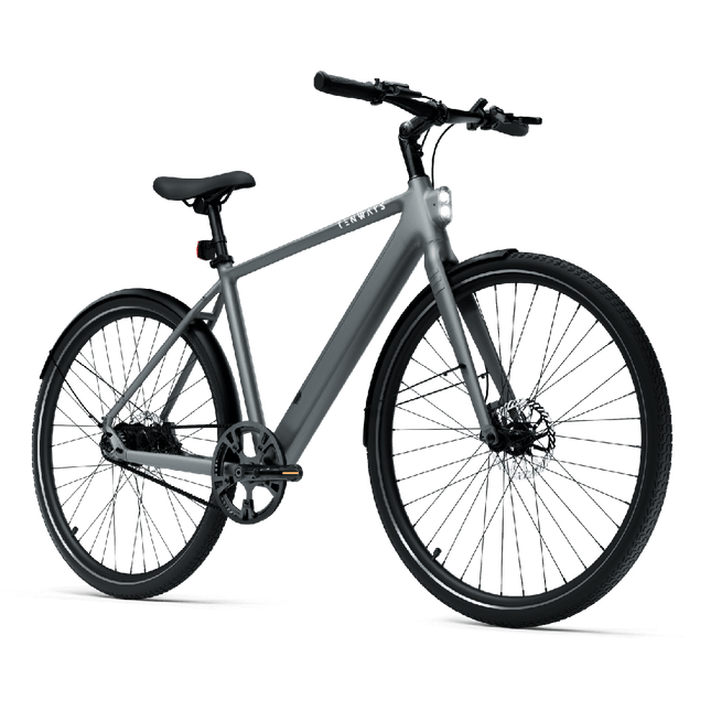 Sähköpyörä TENWAYS CGO600 PRO, vaaleanharmaa (L)