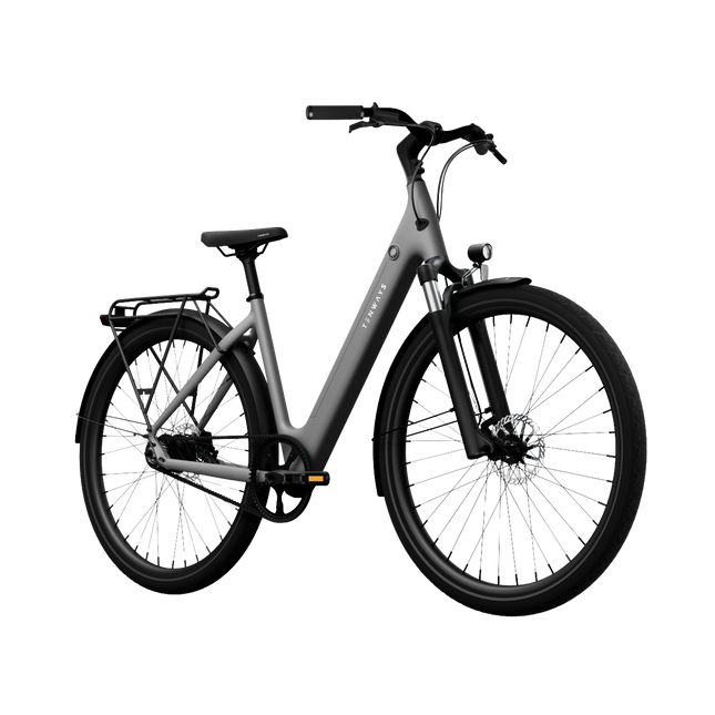 Sähköpyörä TENWAYS CGO800S (2025) Pebble Grey